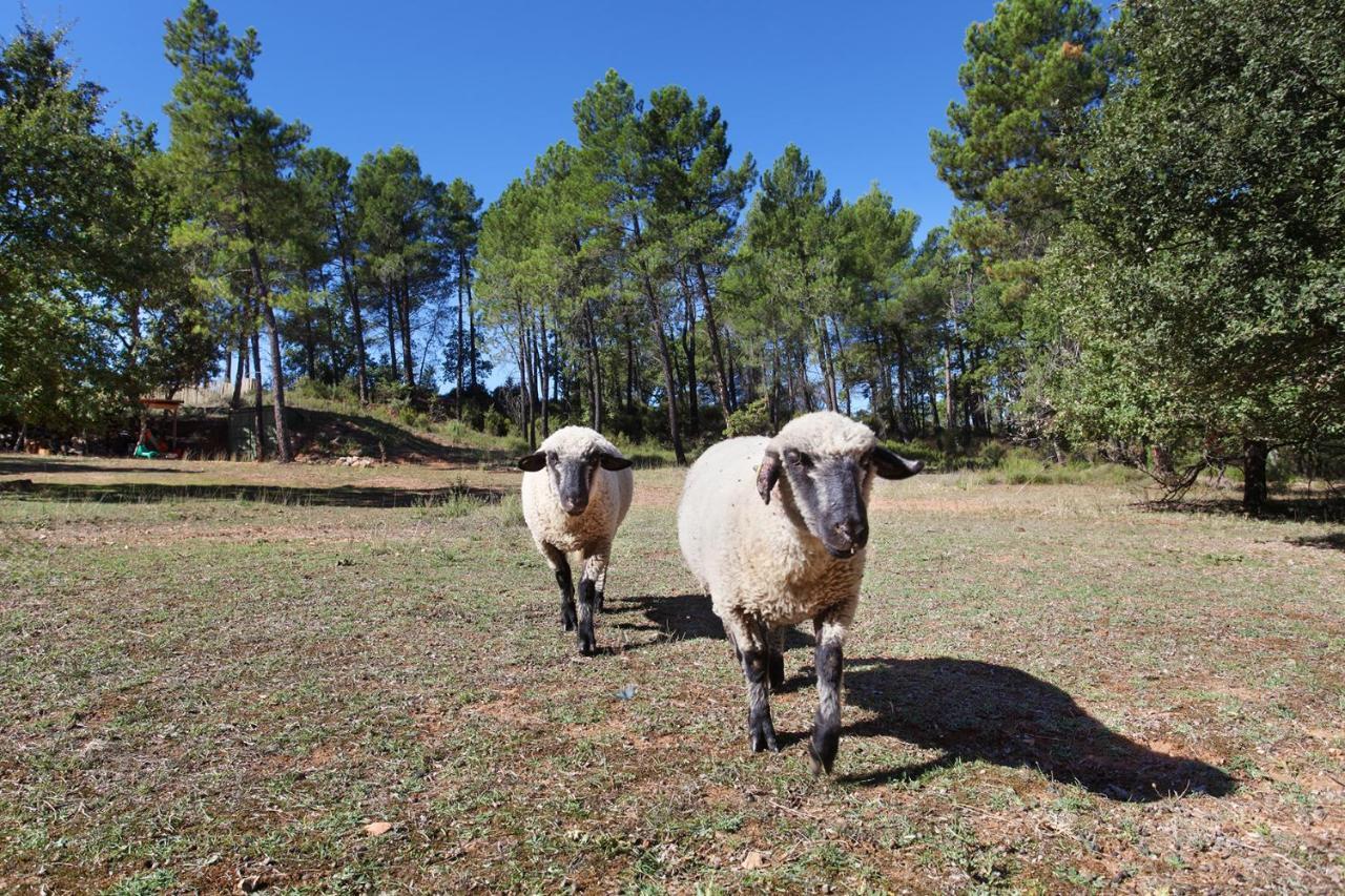 فندق Domaine Les Petites Vaines جول المظهر الخارجي الصورة